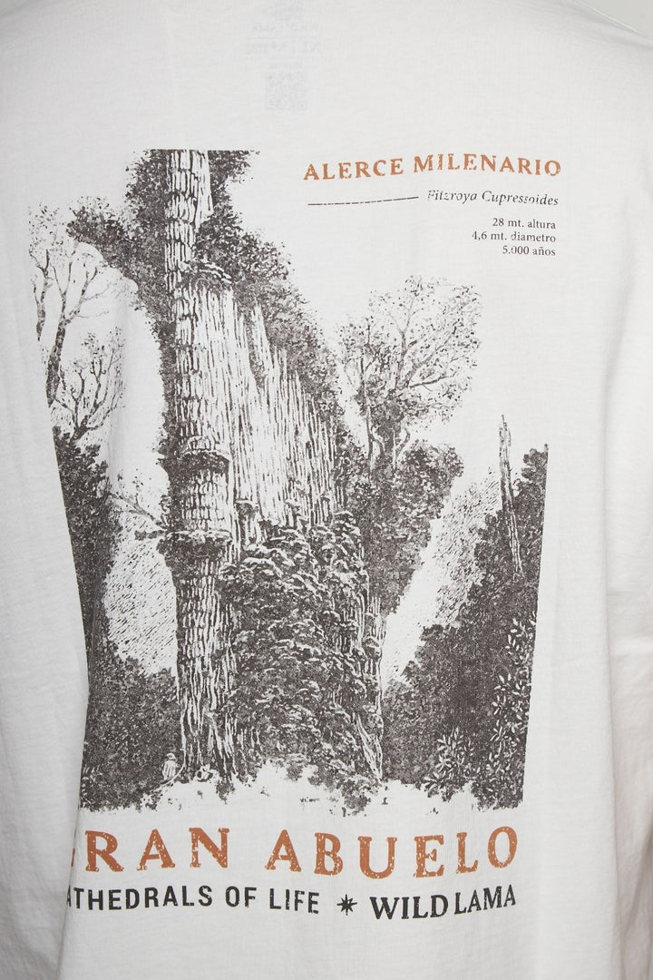 Polera Rolan Orgánica Blanca Hombre