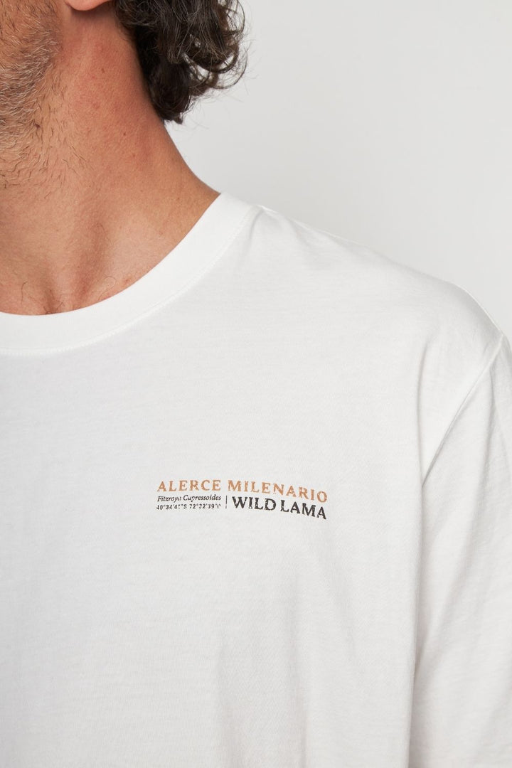 Polera Rolan Orgánica Blanca Hombre