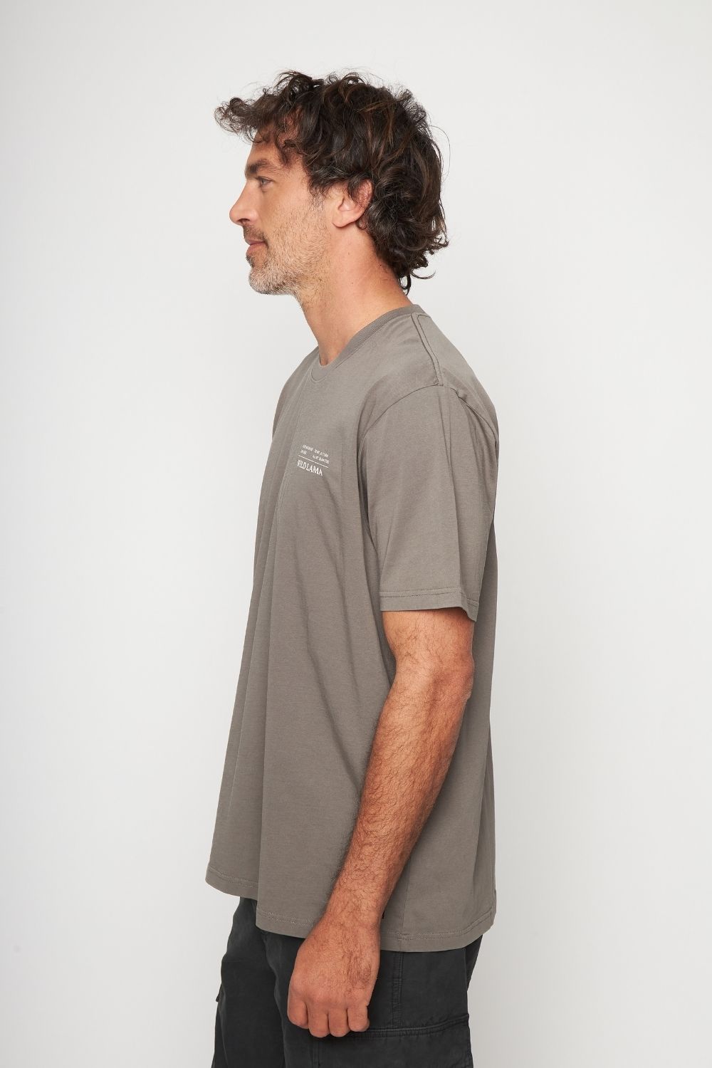 Polera Rolan Orgánica Café Hombre