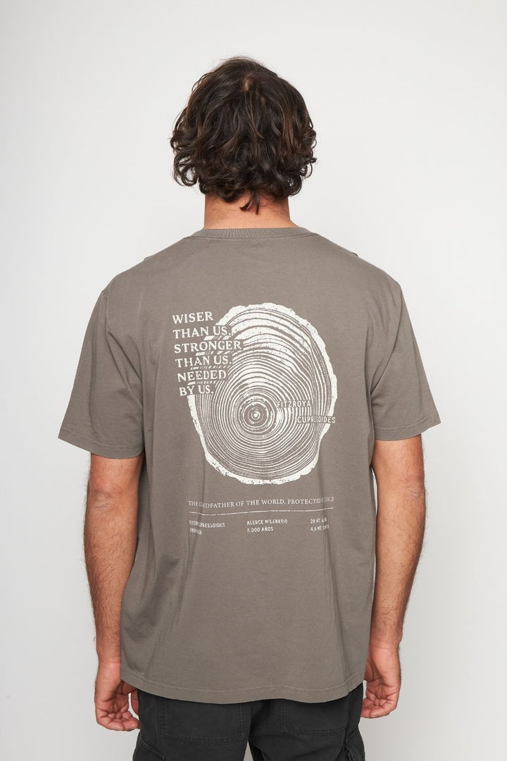 Polera Rolan Orgánica Café Hombre