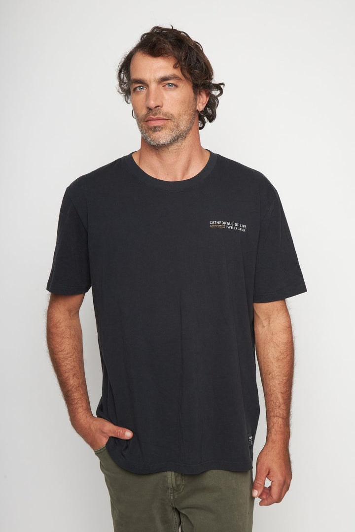 Polera Rolan Orgánica Negra Hombre
