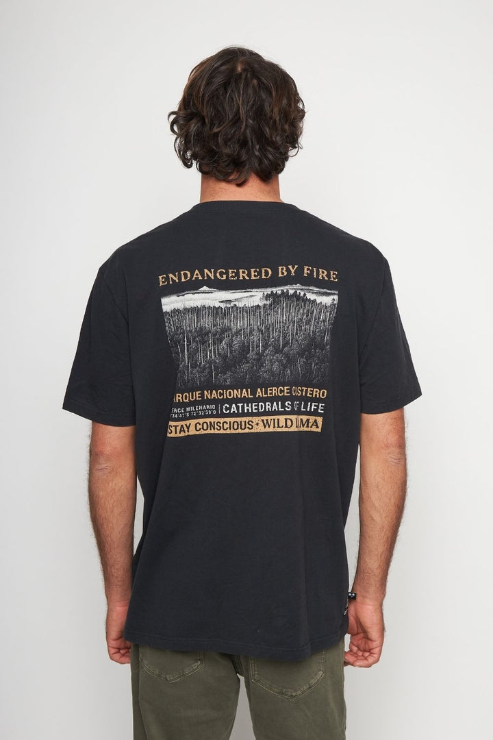 Polera Rolan Orgánica Negra Hombre