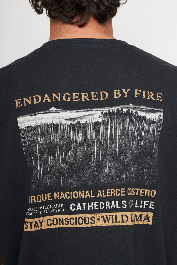 Polera Rolan Orgánica Negra Hombre
