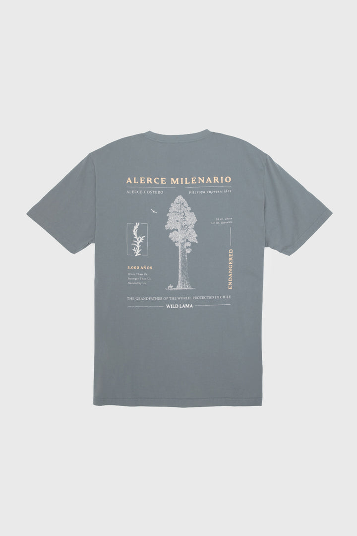 Polera Rolan Orgánica Azul Hombre