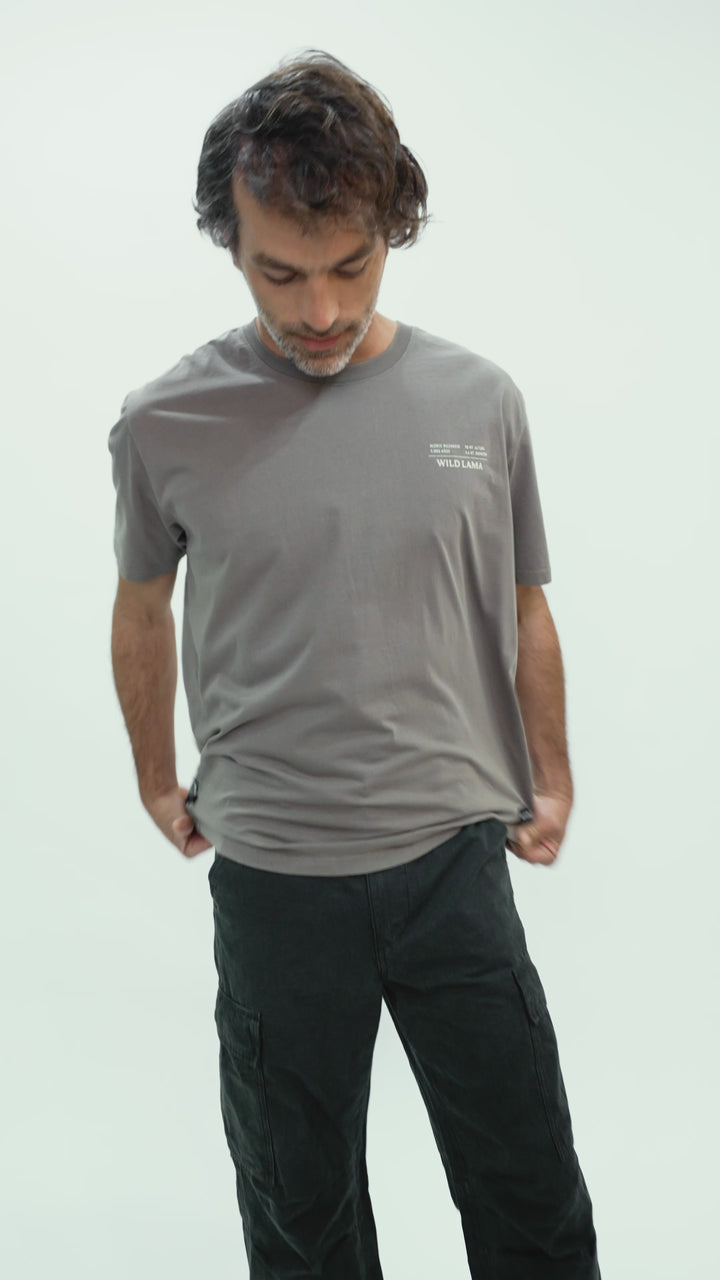 Polera Rolan Orgánica Café Hombre