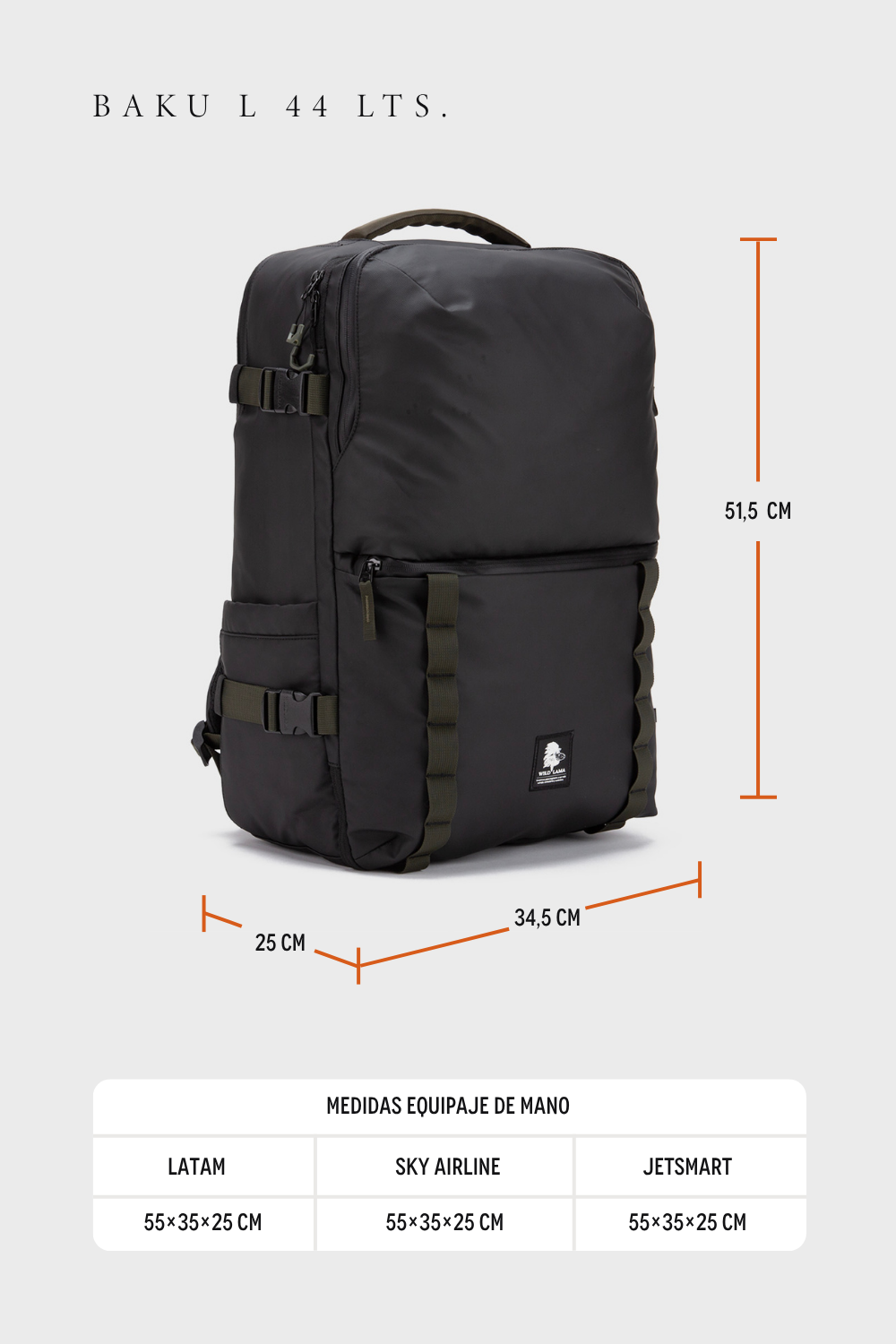 Sky Airlines Puedo Llevar Equipaje De Mano Y Bolso Medidas Del