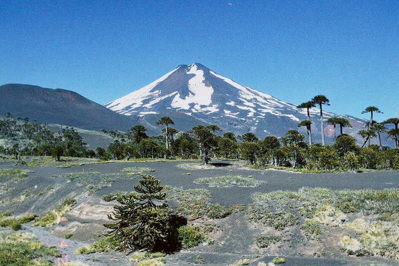 HRBP Retail - Reemplazo pre y post natal