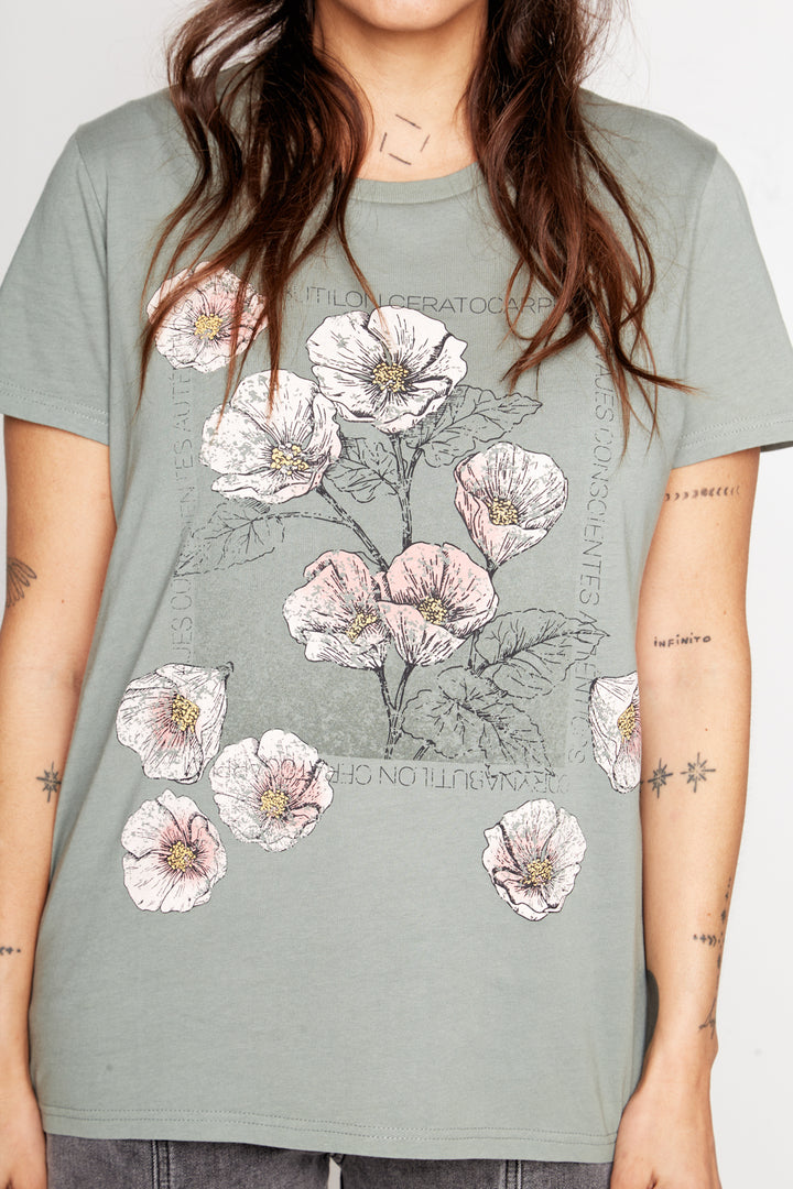 Polera Tila Orgánica Verde Mujer
