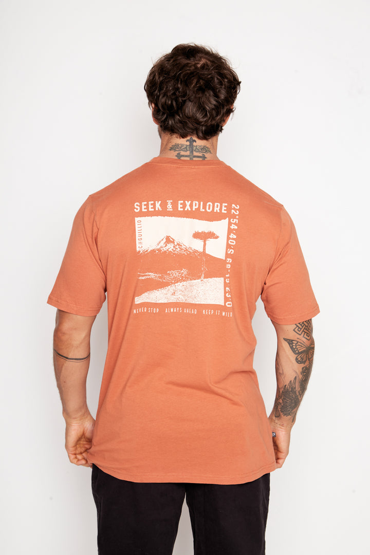 Polera Tepa Orgánica Terracota Hombre
