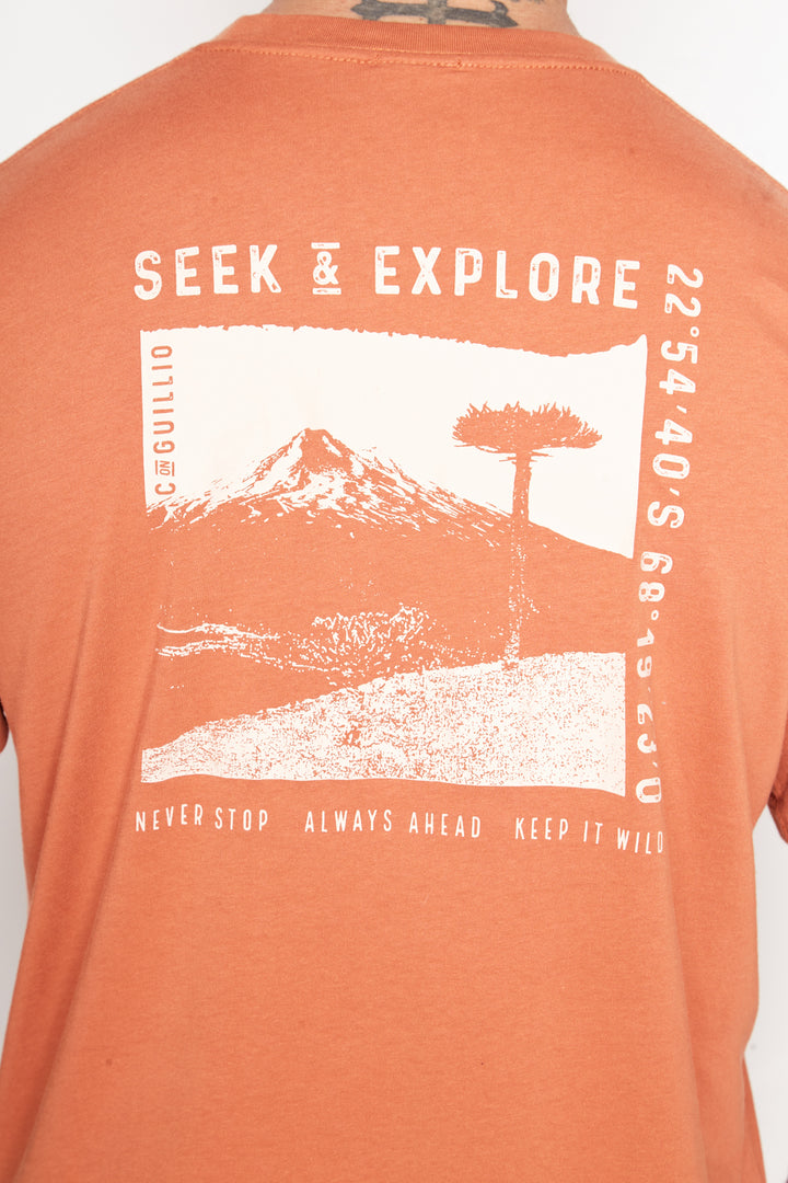 Polera Tepa Orgánica Terracota Hombre