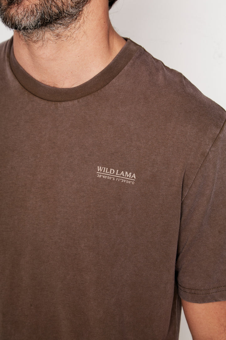 Polera Terra Orgánica Café Hombre