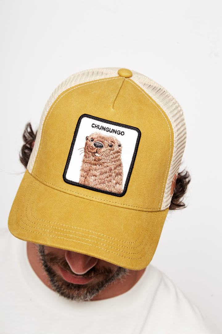 Jockey Chungungo Orgánico Amarillo Lavado