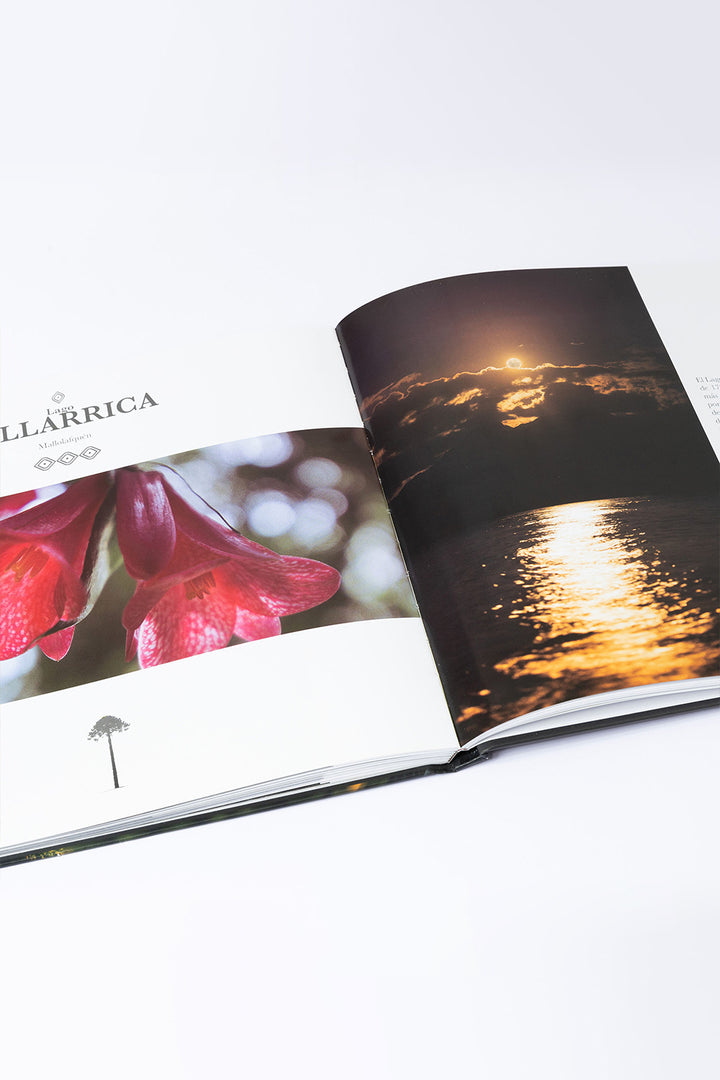 Libro "Araucanía: Naturaleza de Contrastes"