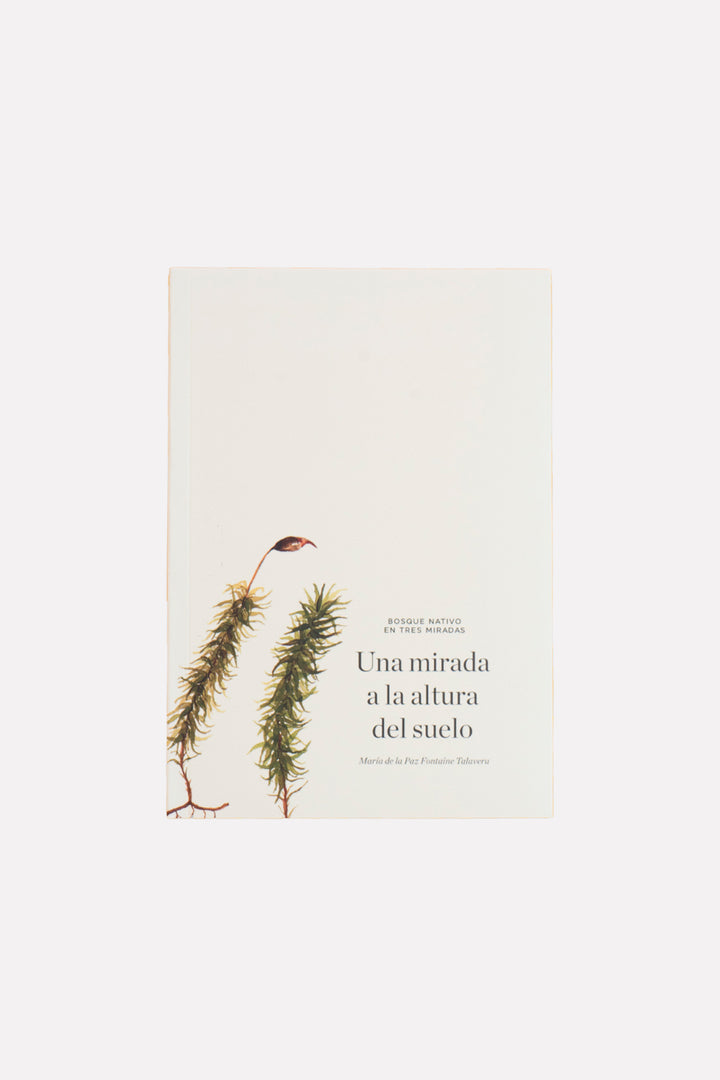 Libro "Bosque Nativo en Tres Miradas"