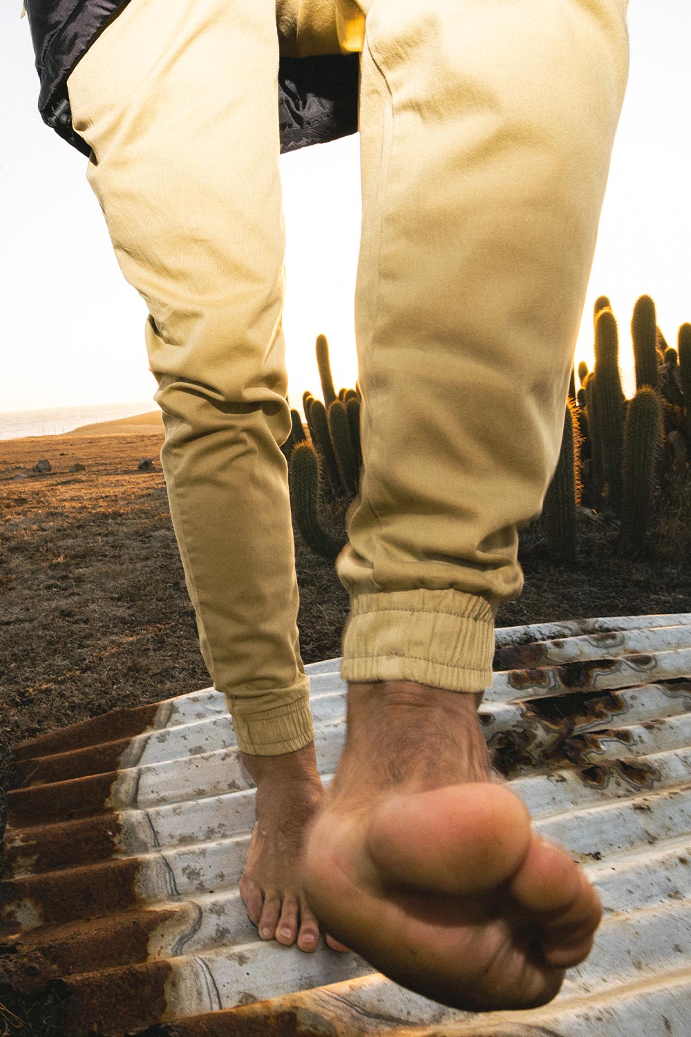 Pantalón Jogger Algodón Orgánico Hombre Camel