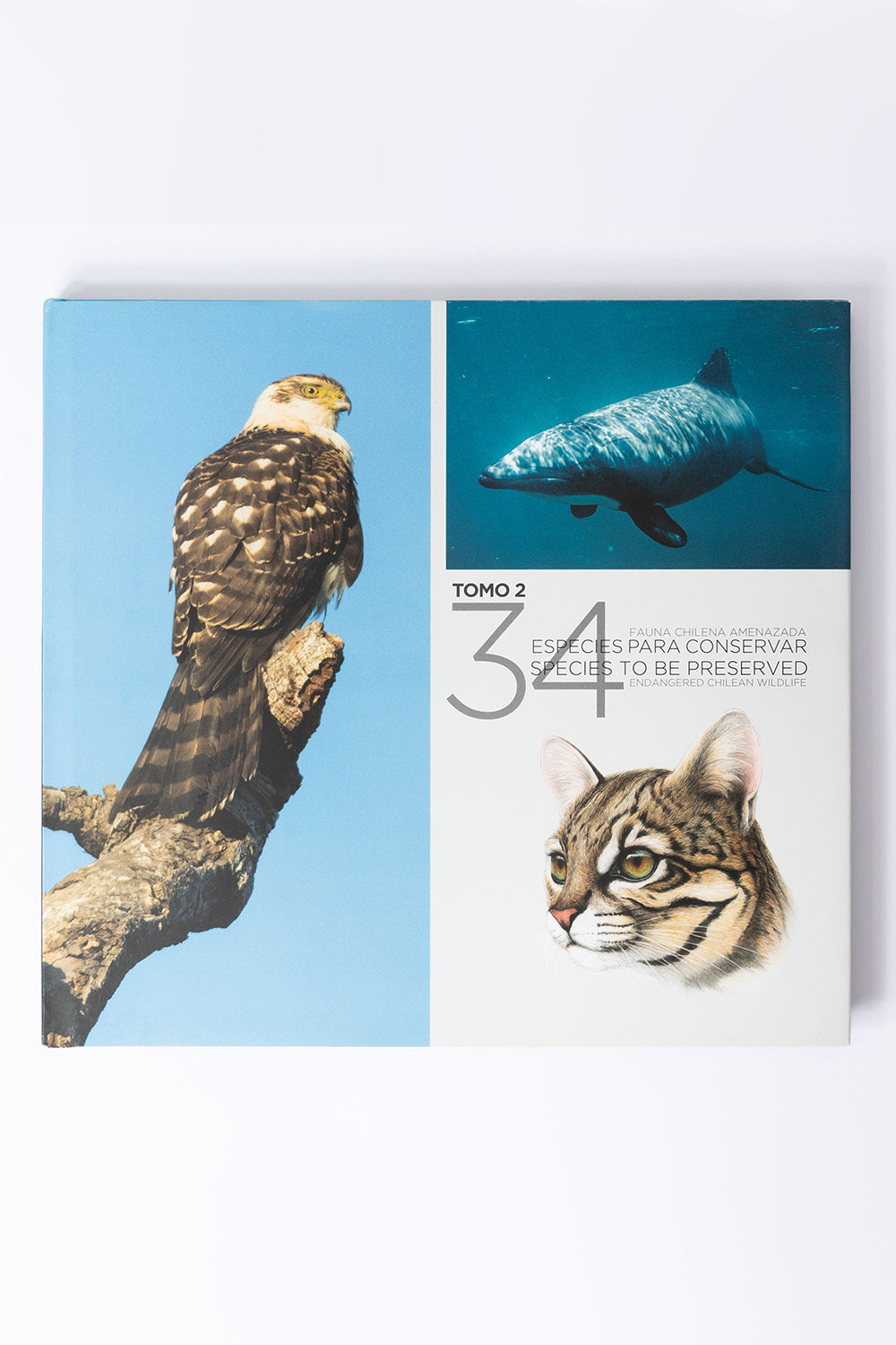 Libro "34 Especies para Conservar" (Tomo 2) | Wild Lama