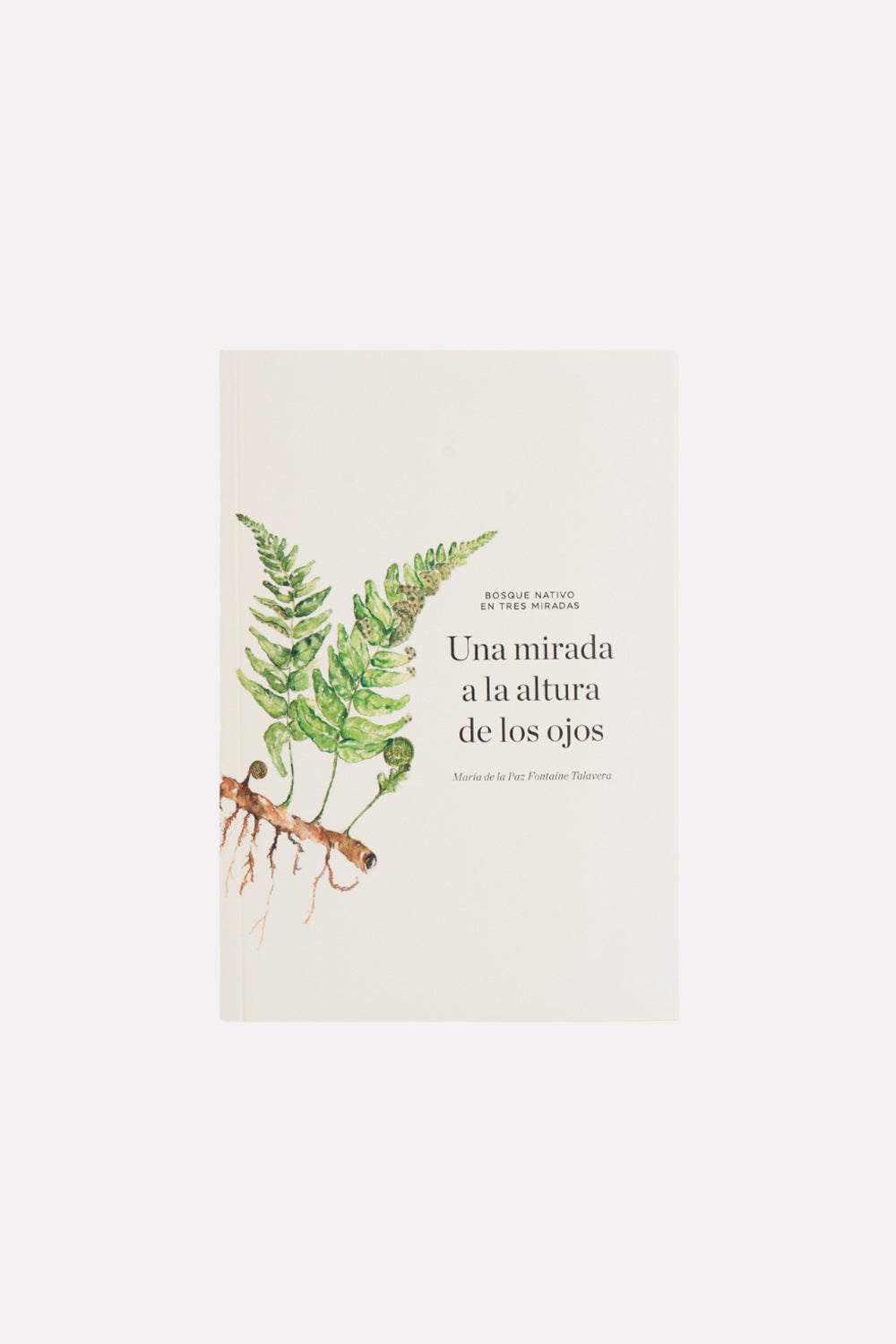 Libro "Bosque Nativo en Tres Miradas"