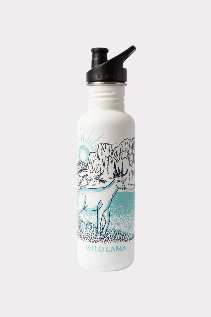 Botella Clásica Deportiva Cerro Castillo Huemul x Klean Kanteen