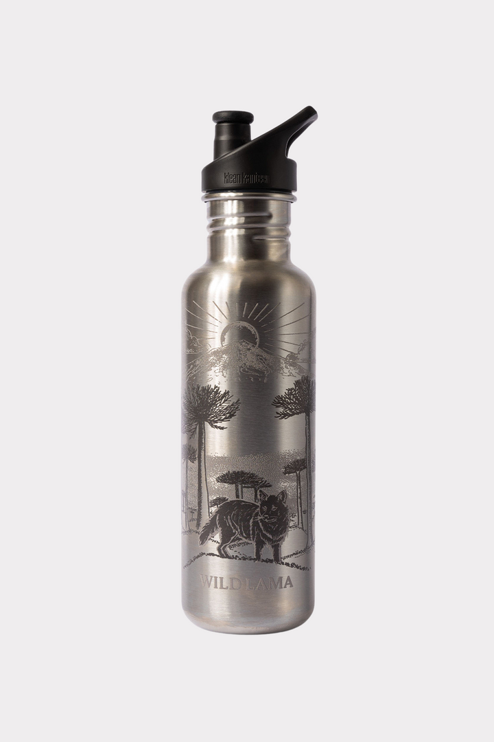 Botella Clásica Deportiva Conguillio Zorro Chilote x Klean Kanteen