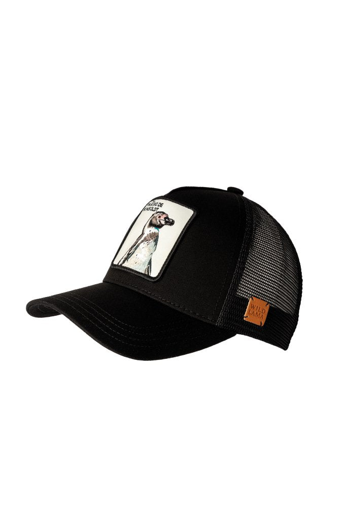 Jockey Pingüino de Humboldt Algodón Orgánico Negro | Wild Lama