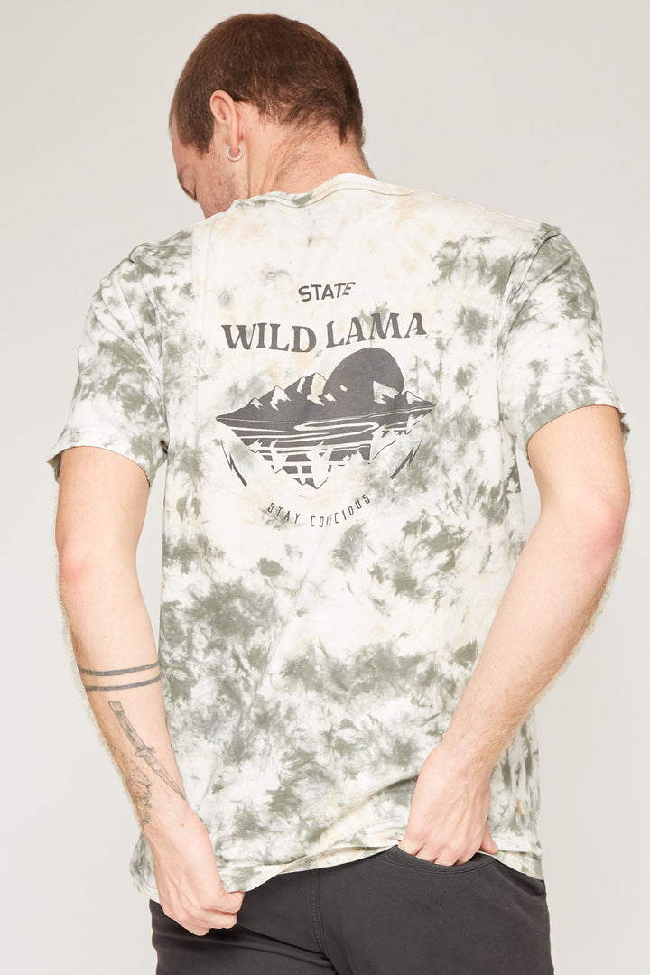 Polera Tie Dye Orgánica Hombre Verde
