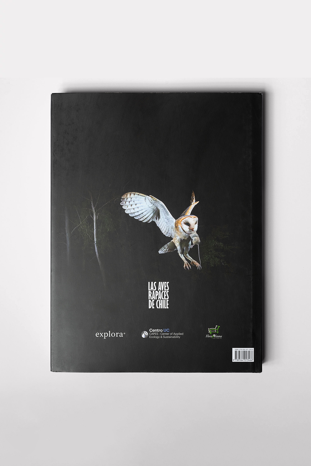 Libro "Las Aves Rapaces de Chile"- Iriarte