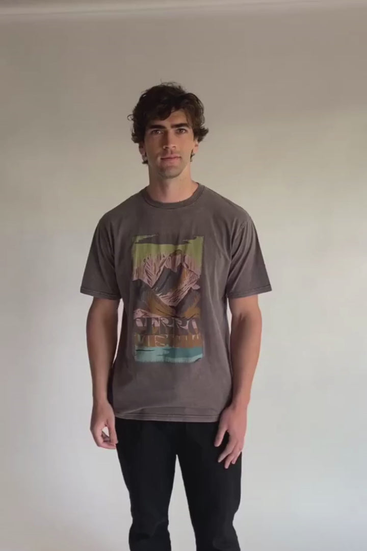 Polera Parques Con Causa Café Hombre