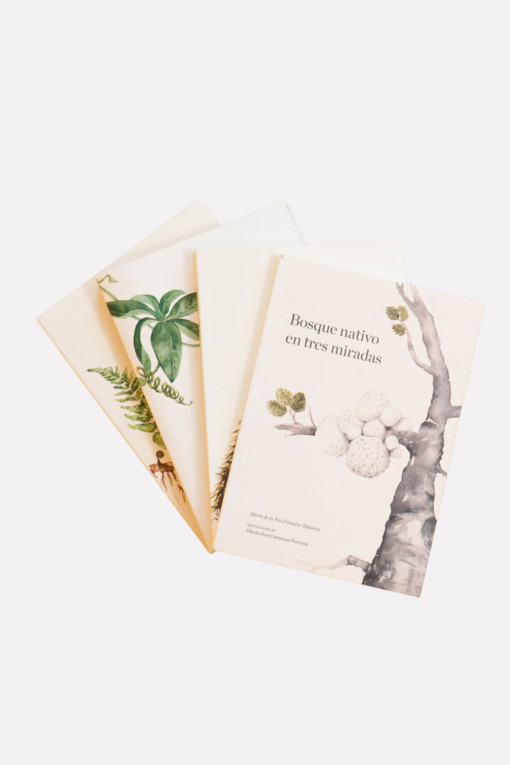 Libro "Bosque Nativo en Tres Miradas"