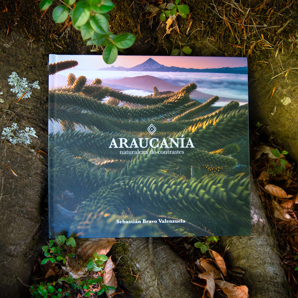 Libro "Araucanía: Naturaleza de Contrastes"