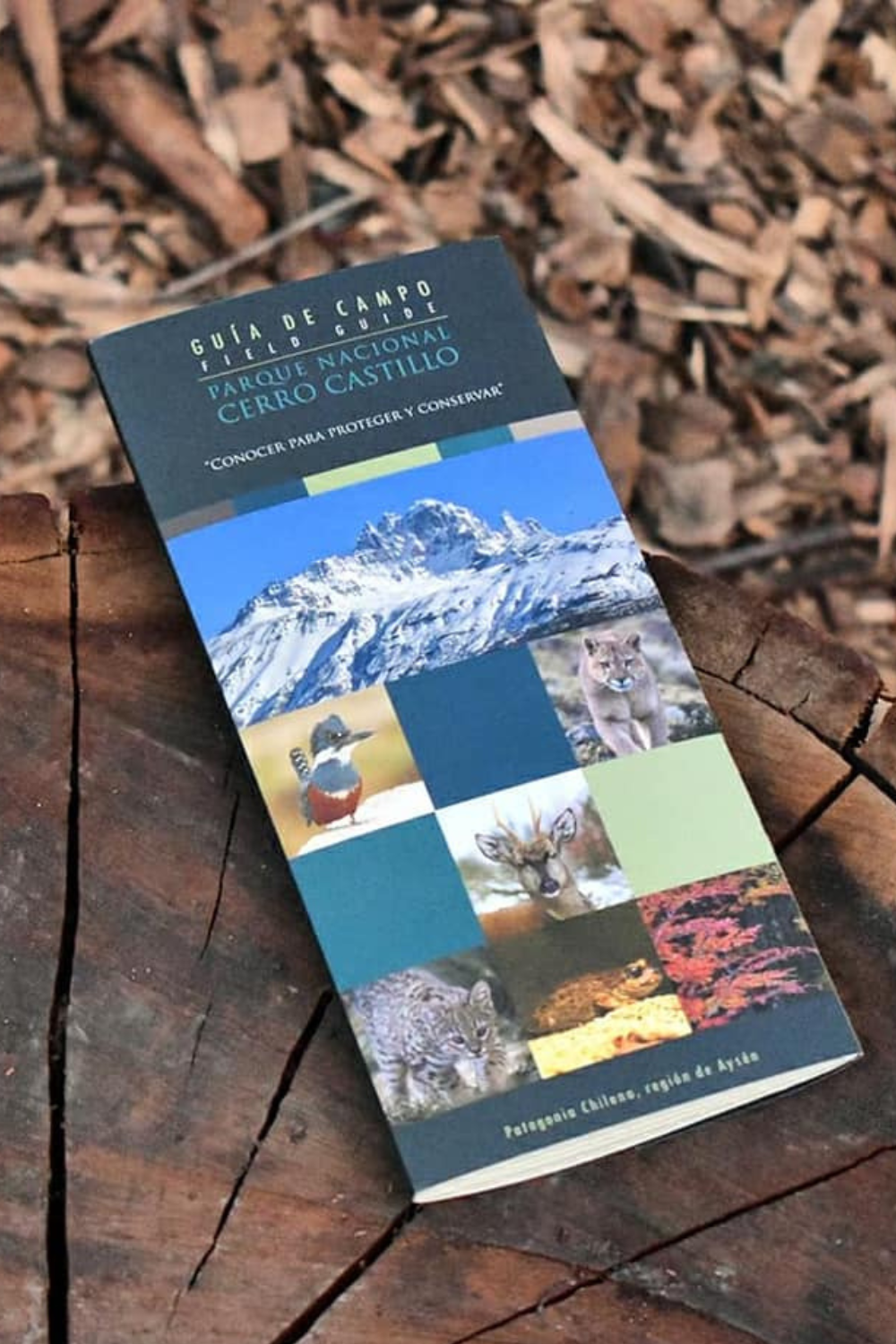 Libro "Guía de Bolsillo Parque Nacional Cerro Castillo"