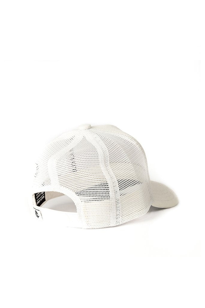 Jockey Gato Andino Lino Blanco | Wild Lama