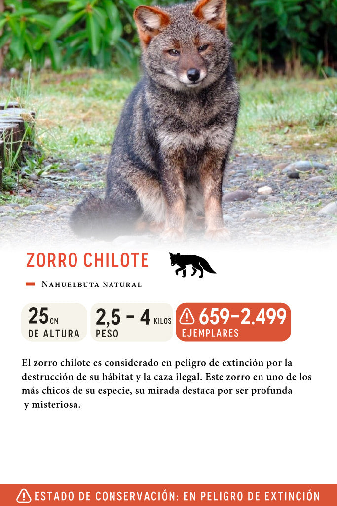 Gorro Zorro Chilote Reciclado Fit Medio Café | Wild Lama