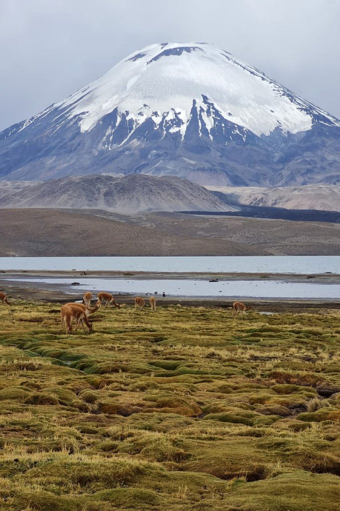 Calcetín Parque Lauca Mujer (36 a 40)