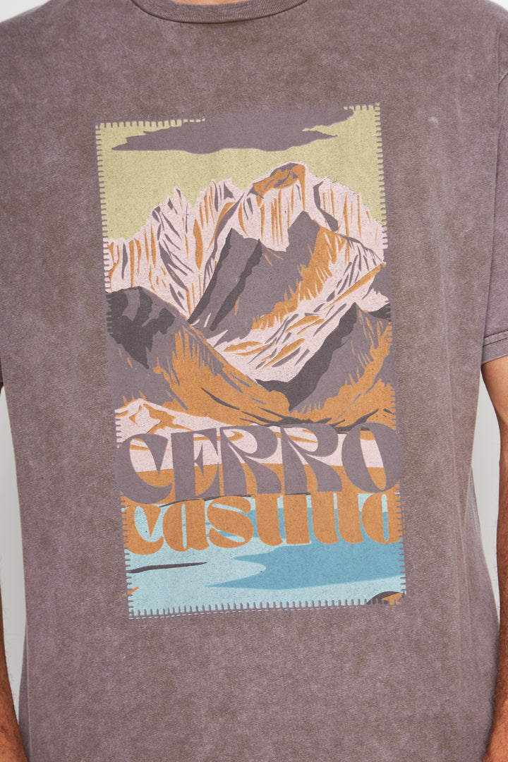 Polera Parques Con Causa Café Hombre