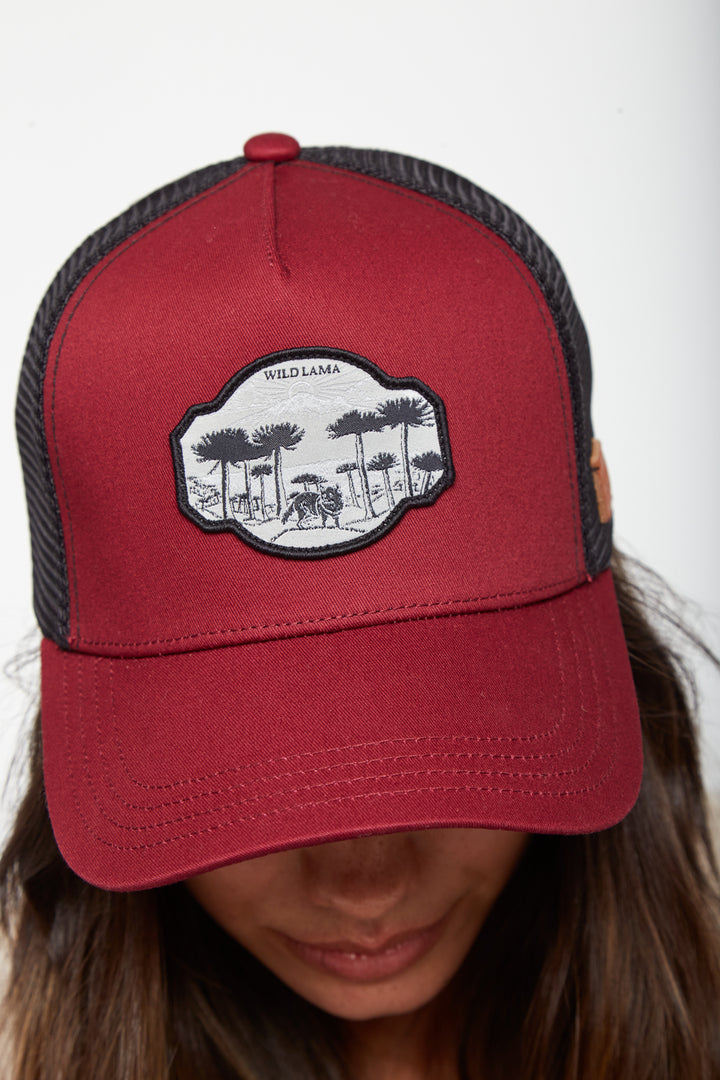 Jockey Parco Con Causa Burdeo