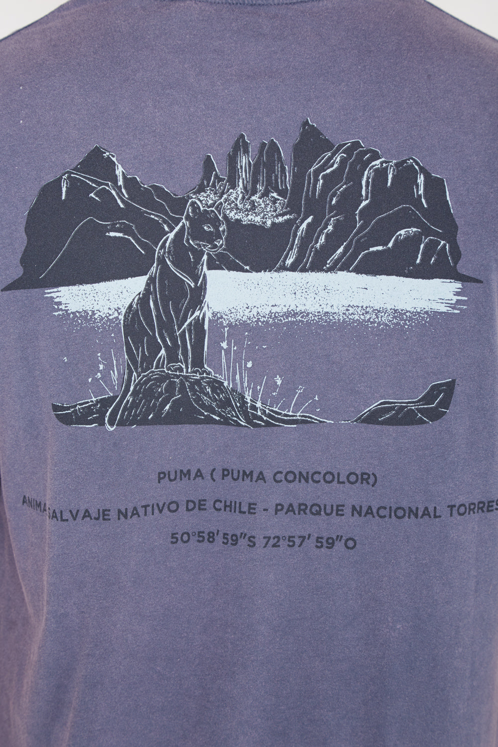 Polera Torres del Paine Orgánica Azul Hombre | Wild Lama