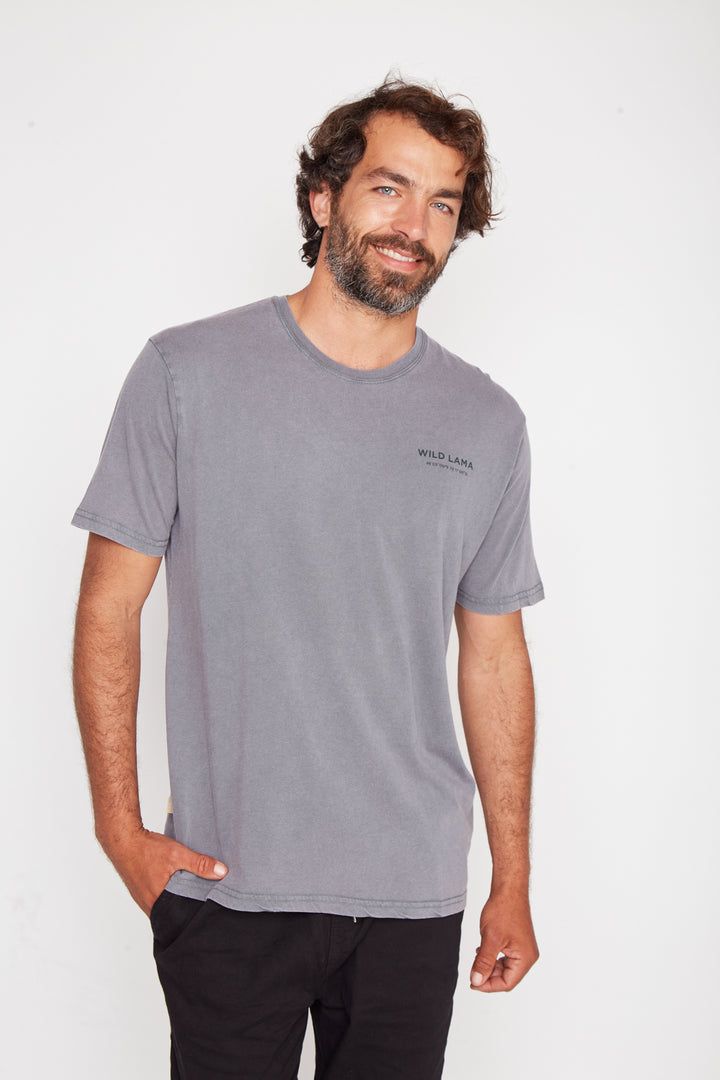Polera Cerro Castillo Orgánica Verde Hombre