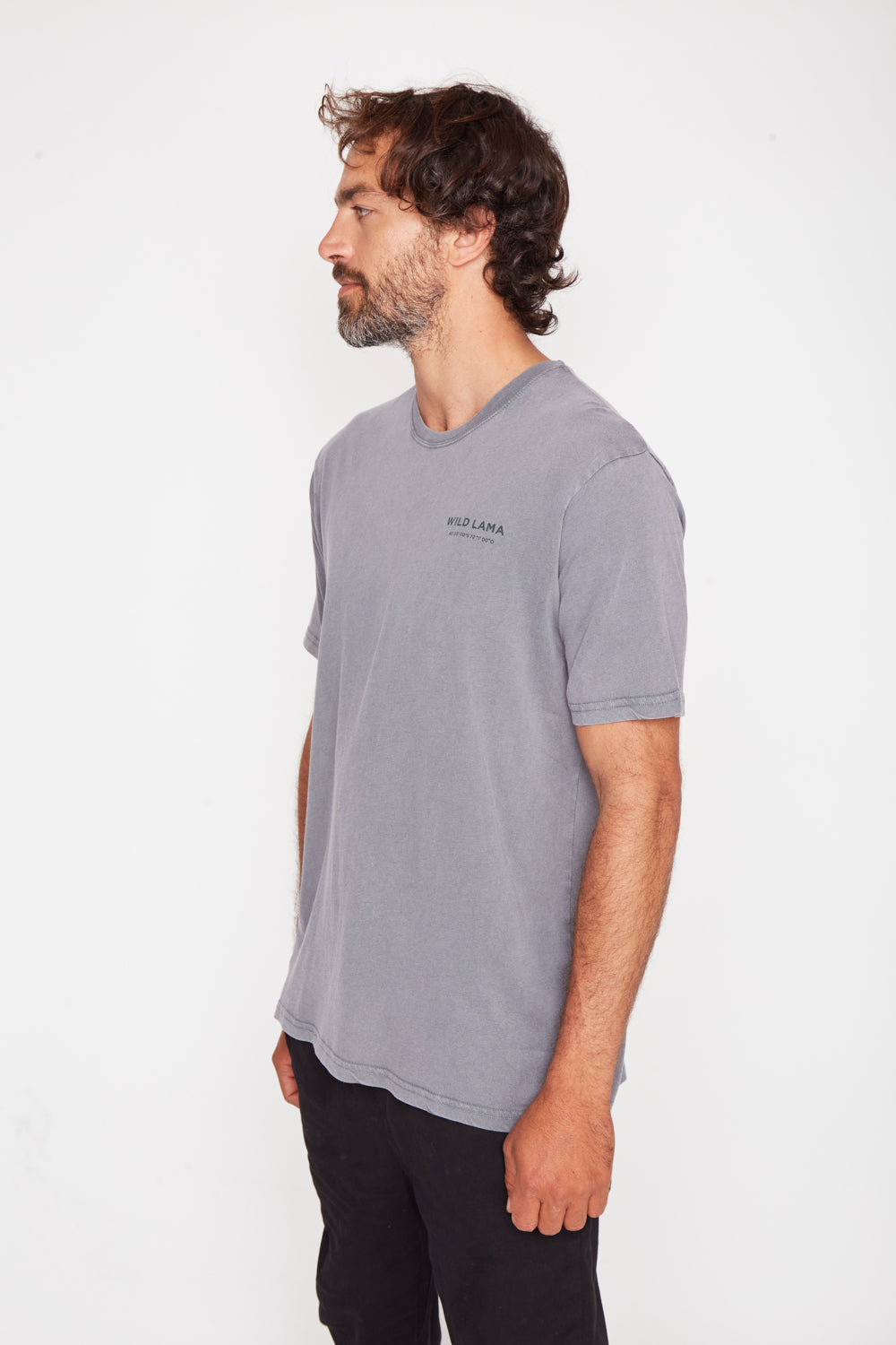 Polera Cerro Castillo Orgánica Verde Hombre
