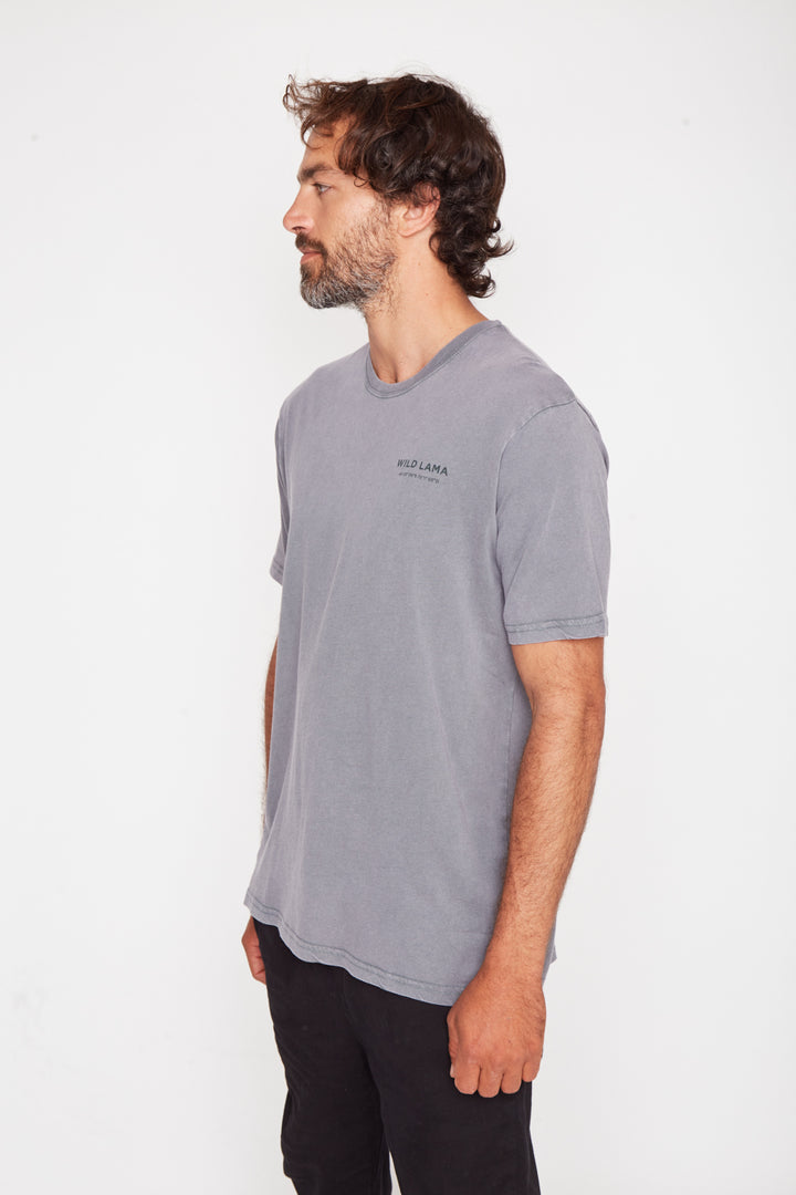 Polera Cerro Castillo Orgánica Verde Hombre