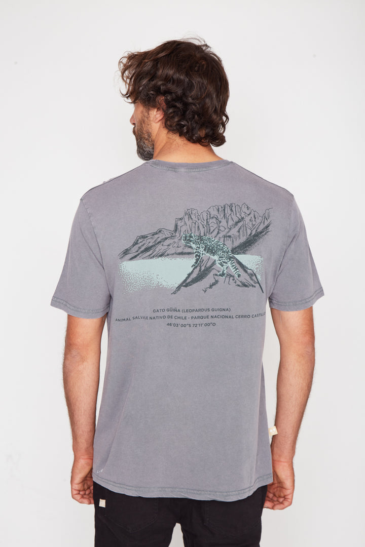 Polera Cerro Castillo Orgánica Verde Hombre