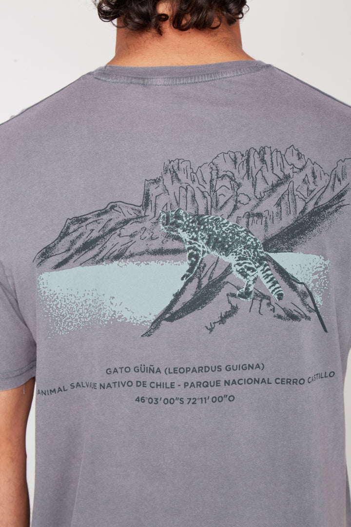 Polera Cerro Castillo Orgánica Verde Hombre