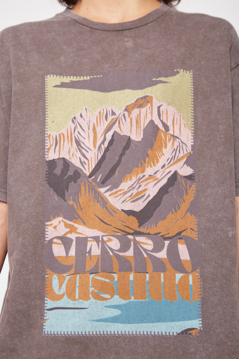 Polera Parques Con Causa Café Mujer